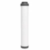 Blue Mount 20 inch GAC filter cartridge