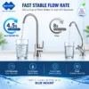 Blue Mount Crown UTS BM56 under sink RO water purifier – view 6