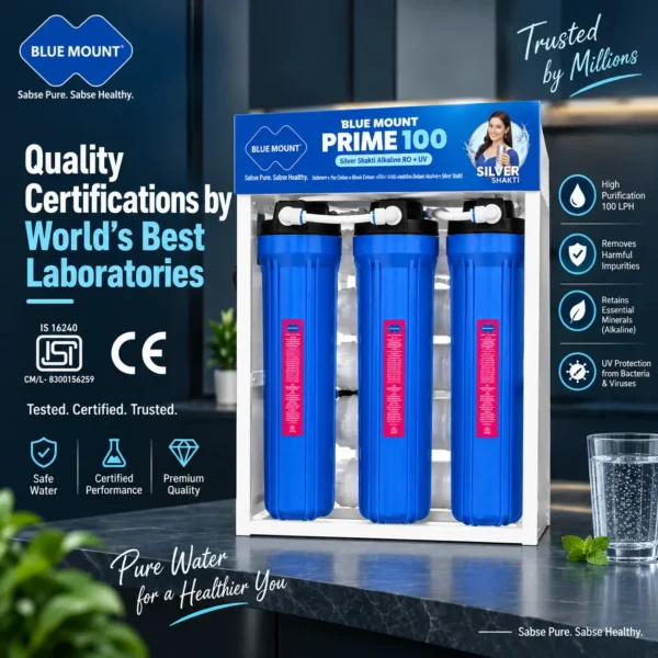 Blue Mount Prime 100 LPH commercial RO plant – view 2