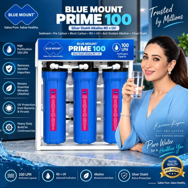 Blue Mount Prime 100 LPH commercial RO plant – view 3