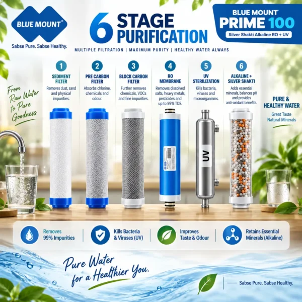Blue Mount Prime 100 LPH commercial RO plant – view 4