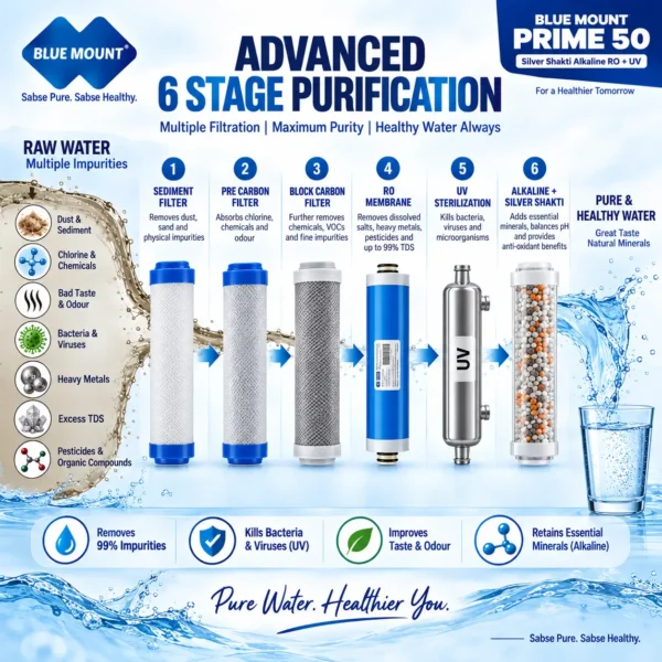 Blue Mount Prime 50 LPH commercial RO plant – view 3