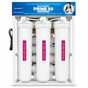 Blue Mount Prime 50 LPH commercial RO plant