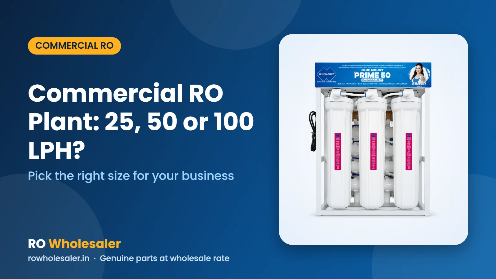 Commercial RO Plant: 25, 50 or 100 LPH?